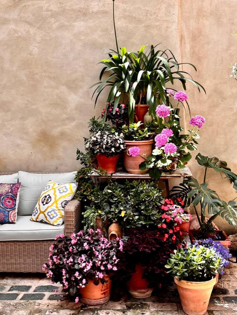 Oliva Courtyard Guesthouse Zewnętrze zdjęcie